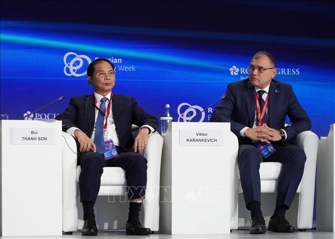 Phó thủ tướng Bùi Thanh Sơn dự Diễn đàn “Tuần lễ Năng lượng Nga” lần thứ 8